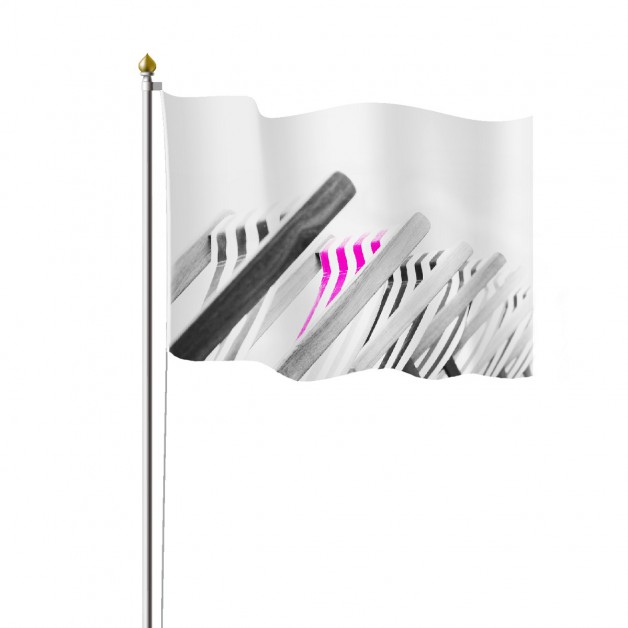 Horizontali reklaminė vėliava 