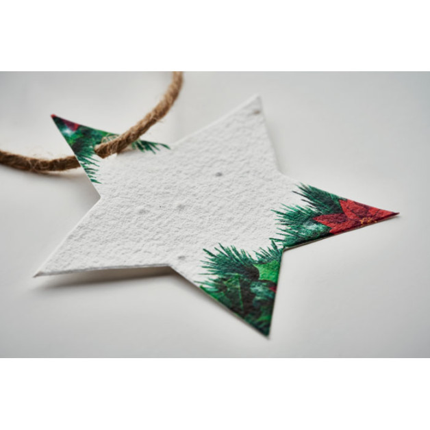 STARSEED kalėdinis ornamentas iš sėklų popieriaus, žvaigždės formos