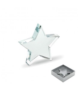 STARWARD stiklinis apdovanojimas
