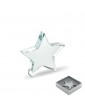 STARWARD stiklinis apdovanojimas