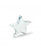 STARWARD stiklinis apdovanojimas