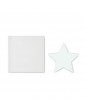 STARWARD stiklinis apdovanojimas