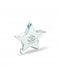 STARWARD stiklinis apdovanojimas