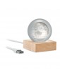 GLOBE LIGHT LED stiklinis gaublys