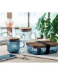 VITRIO MUG stiklinis puodelis, 300 ml