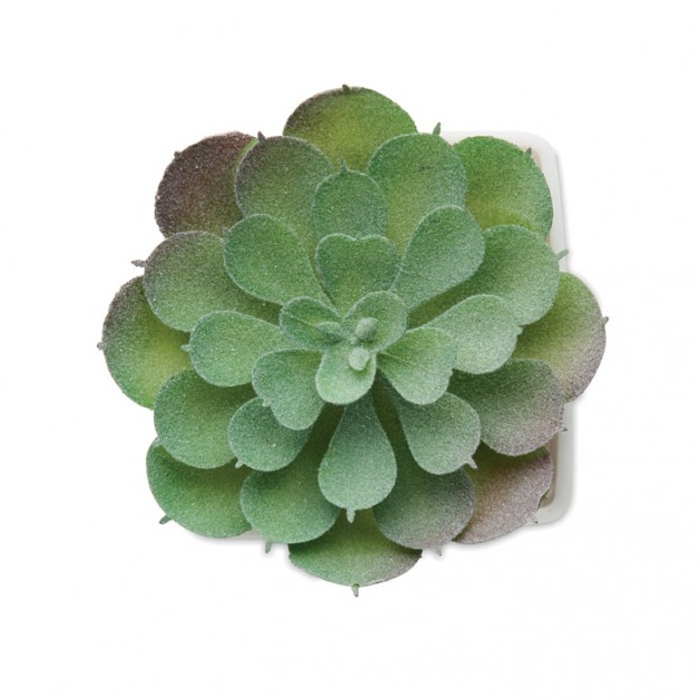 ARTIECHE mini dirbtinis augalas ARTIECHE mini dirbtinis augalas