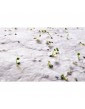 ASIDO A6 formato lapas su laukinių gėlių sėklomis