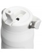 Stanley IceFlow™ 2.0 gertuvė, 700 ml