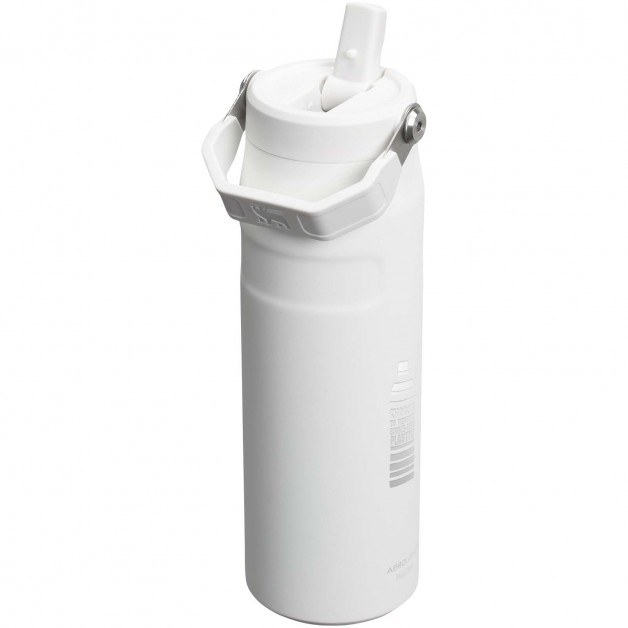 Stanley IceFlow™ 2.0 gertuvė, 700 ml