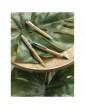 Borneo bambukinis tušinukas
