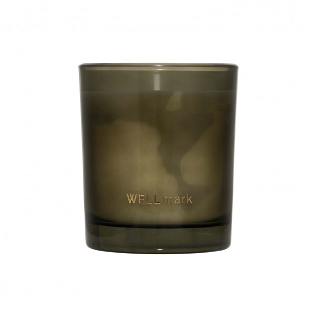 WELLMARK TENDER AFFECTION kvepianti žvakė, 210g