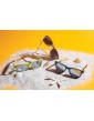 Kviečių šiaudų pluošto ir bambuko akiniai nuo saulės