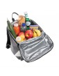 Impact AWARE™ RPET šaltkrepšis - kuprinė, 13L